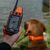 Nová dimenze sledování a výcviku psů: Dogtrace GPS X40