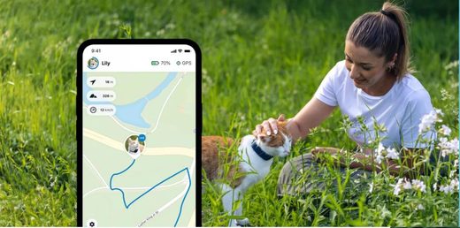 Tractive GPS CAT 4 - Traceur GPS pour chat - JungleVet