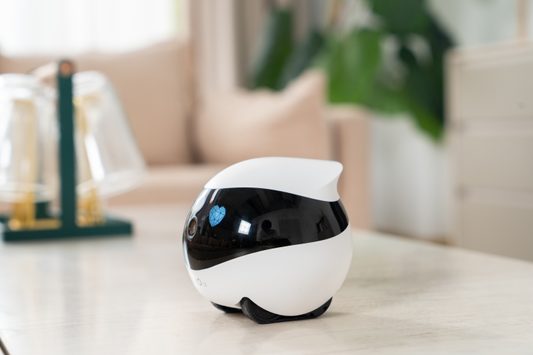 EBO SE Moving Pet Camera - Smart cameras - Electric-Collars.com