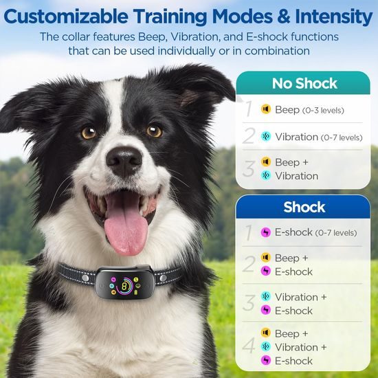 Reedog No Bark Smart Pro TC-006