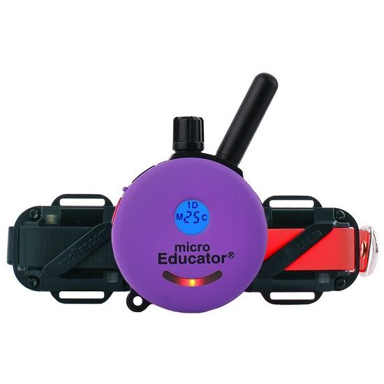 Micro e collar sale