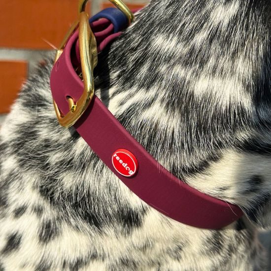 Obojok Reedog bordo-námornícky modrý Biothane