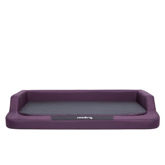 Pelech pre psa Reedog Purple Standard