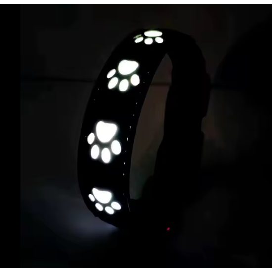 Collar luminoso recargable Reedog PATITAS