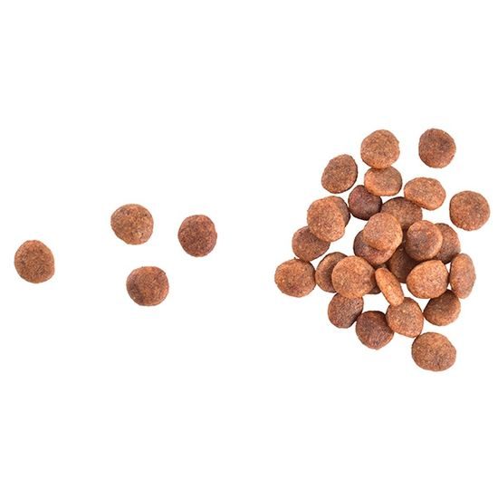 Brit Care Cat Grain-Free Large cats Power & Vitality 7 kg