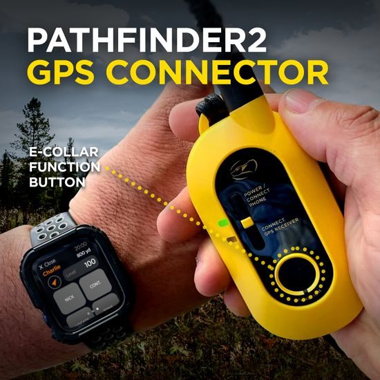 Dogtra Pathfinder 2 - GPS a výcvikový obojok