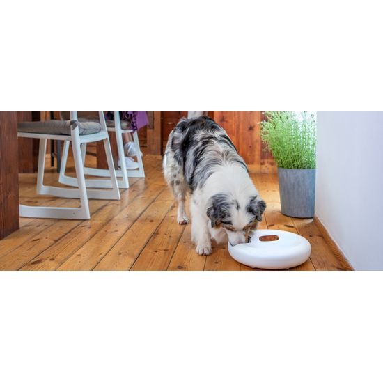 Petoneer NutriSpin intelligens etető