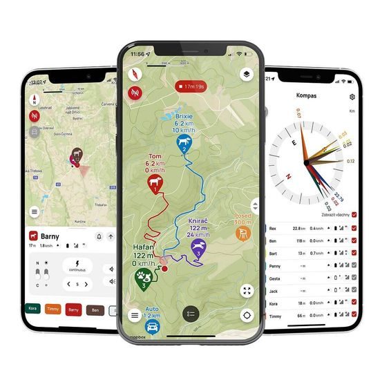 Dogtrace DOG GPS X30TB Short