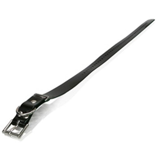 Black plastic collar Dogtra, width 2,5cm