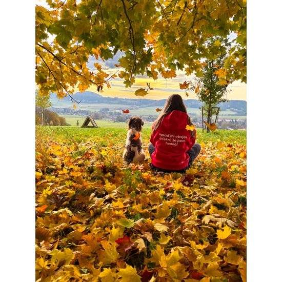 Reedog mikina červená "Obojek"