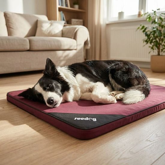 Reedog Podložka Thin Bordo