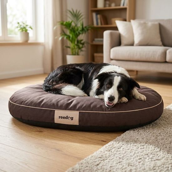 Reedog Matrace Round Brown