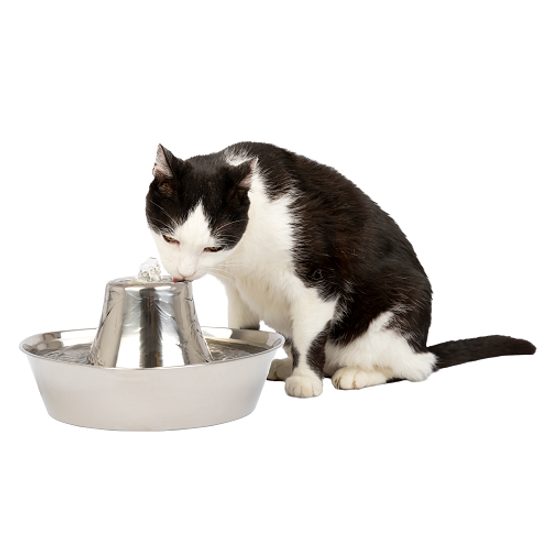 Brunnen für Katzen und Hunde PetSafe® Seaside