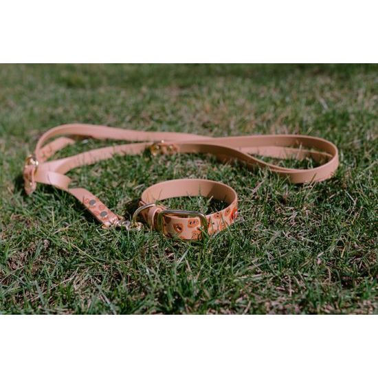 Reedog Gassi-Set Häufchen aus Biothane: HALSBAND + LEINE