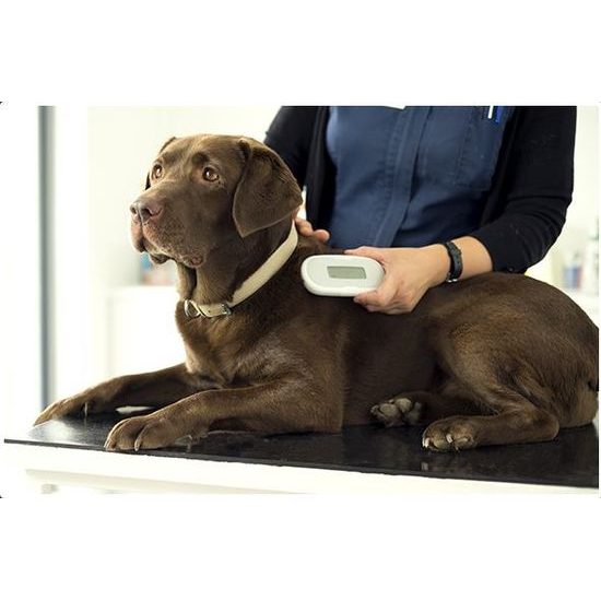 SureSense II Chip Reader für Hunde und andere Haustiere