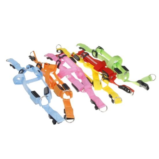 Reedog svíticí kšíry pro psy a kočky