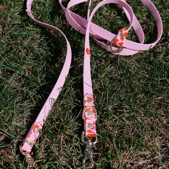 Reedog adjustable multi-way leash Pink Hearts BioThane 3 m