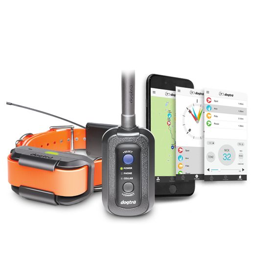 KOMIS - Dogtra Pathfinder - GPS i obroża treningowa