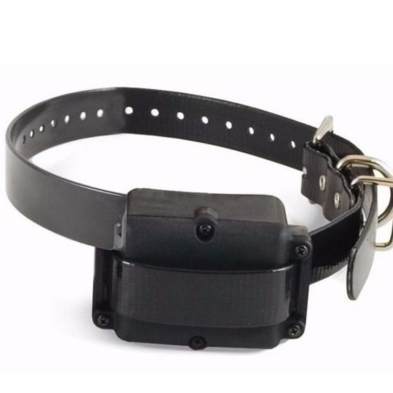 Halsband und Empfänger PetSafe 250m