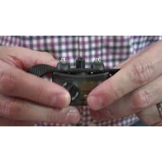 PetSafe Big Dog Deluxe (PBC19-13058)