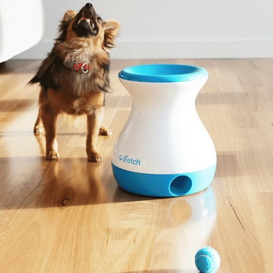 iFetch Frenzy ball launcher