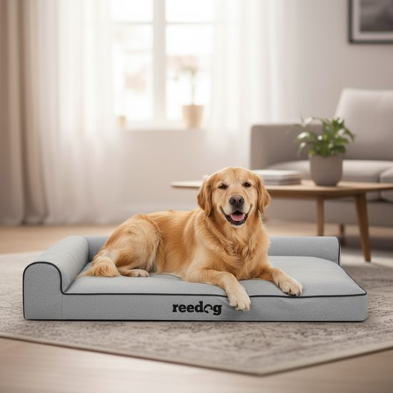 Reedog Pelíšek Best Ekolen Light Gray
