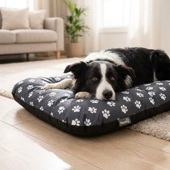 Reedog Matrace Eco Extra Grey Paw