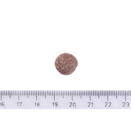 Brit Care Dog Grain-free Adult Salmon 12 kg