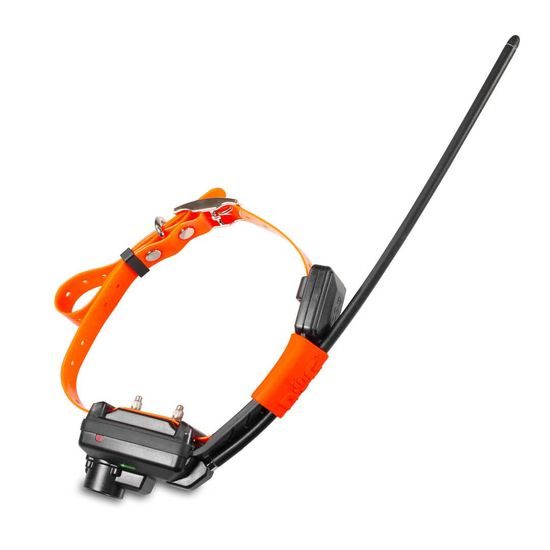 Kürzeres Halsband für einen weiteren Hund - DOG GPS X25TB Short