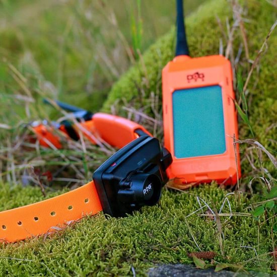 Suchgerät für Hunde mit Tonortungsgerät DOG GPS X30B Short
