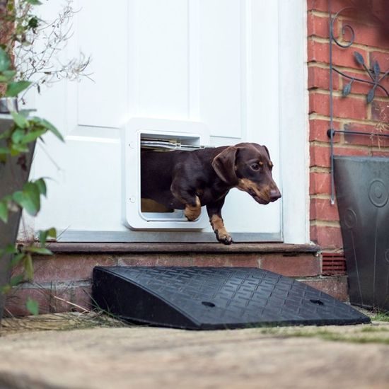 BAZAR - Dvierka pre psov Sureflap Microchip Pet Door Connect