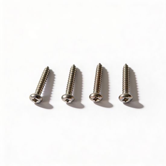 Canicom Set of 4 receiver battery cover screws for Canicom and Easy Dog