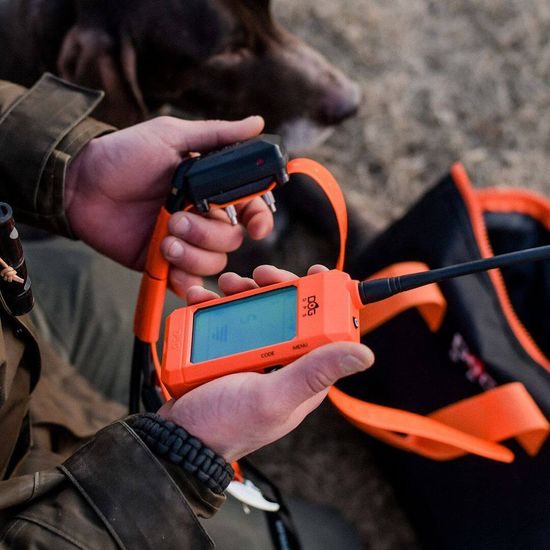 Tracking and training device for dogs DOG GPS X30T Short