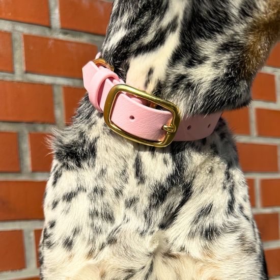 Obojok Reedog púdrovo ružový Biothane