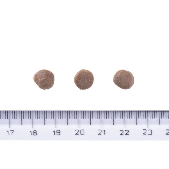 Brit Care Dog Grain-free Puppy Salmon 3 kg