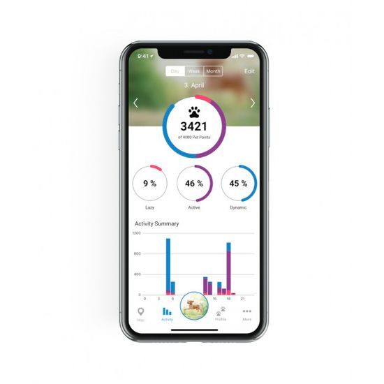 KOMIS - Tractive GPS Tracker i monitor aktywności dla psów