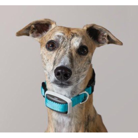 Obojek Garmin Delta Smart 4 v 1