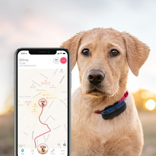 Tractive GPS Tracker kutyáknak - nyomkövető