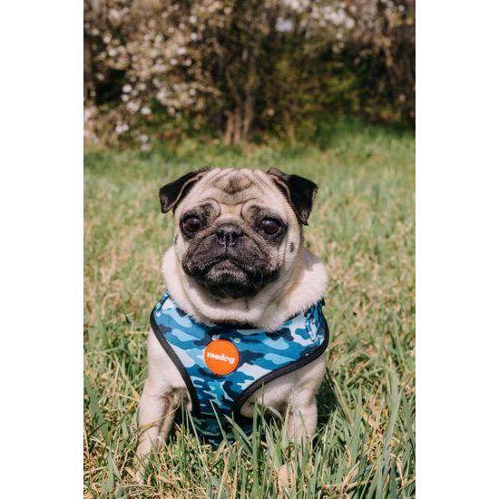 Geschirr Reedog CAMO