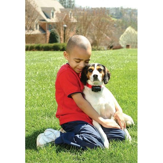 Collar Antichoque PetSafe® PBC19-10765