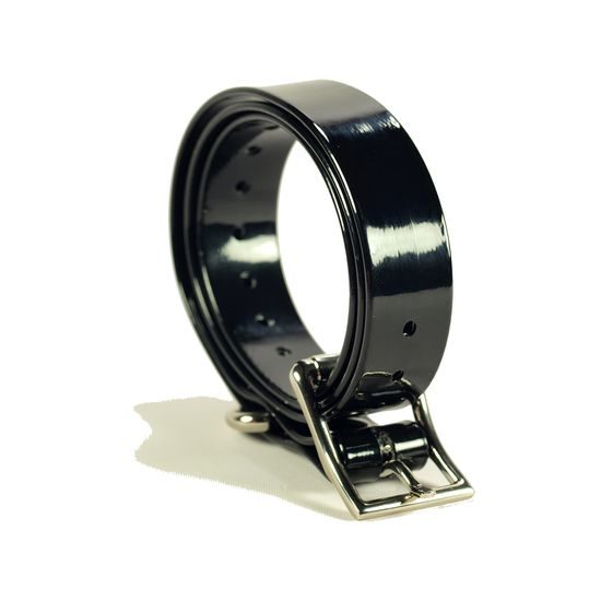 Elektrický obojek pro psy EasyPet EP-380R PRO