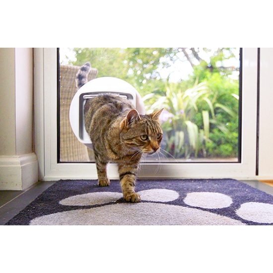 SureFlap DualScan door with microchip for cats