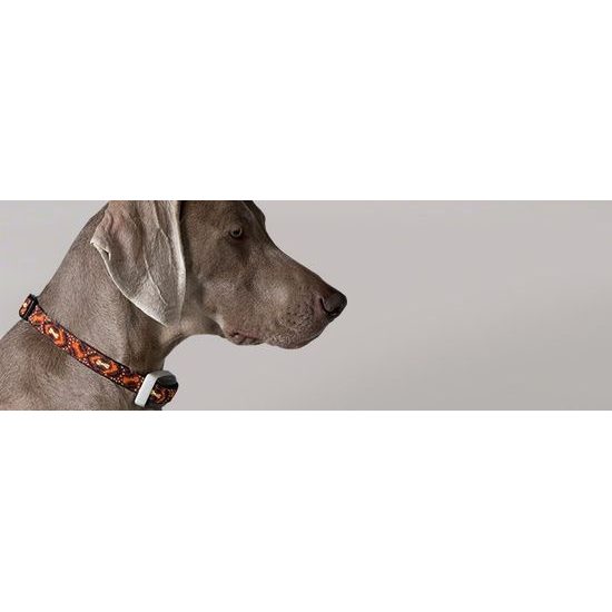 Obojek Garmin Delta Smart 4 v 1