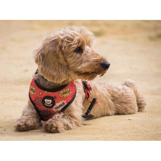 Reversible harness SUPERDOG