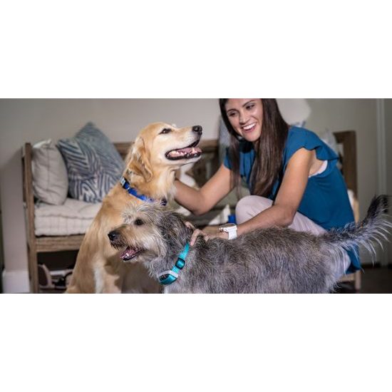 Obojek Garmin Delta Smart 4 v 1