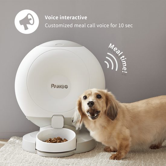 Smart feeder for cats and dogs Pawbo Crunchy