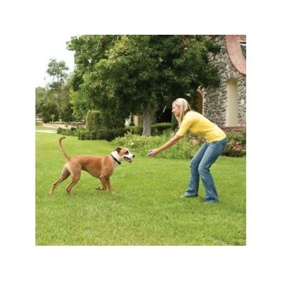 Bezprzewodowe ogrodzenie dla psów Petsafe Stay + Play