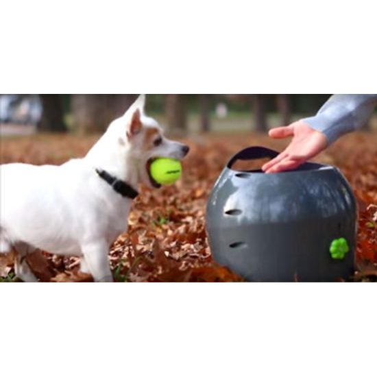 Petsafe ball launcher clearance manual