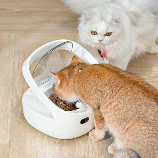 BAZAR - Petoneer NutriCare Feeder