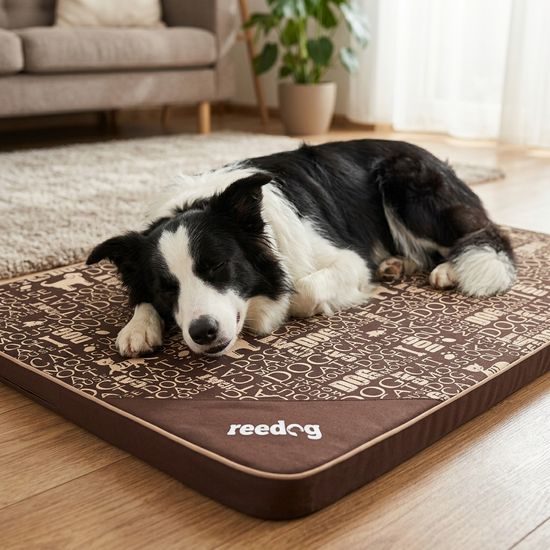 Reedog Podložka Thin Sign